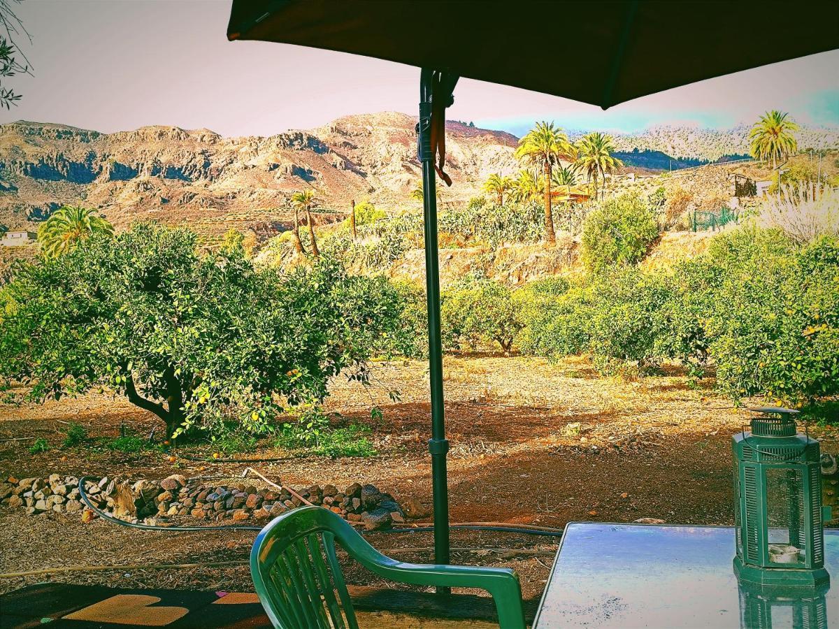 Django Villa Santa Lucia De Tirajana Bagian luar foto